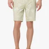 THE BRIXTON SHORT