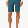 THE BRIXTON SHORT