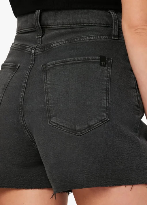 THE PLEATED SHORT